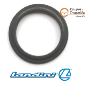 136990A1 LANDINI ARANDELA BUJE